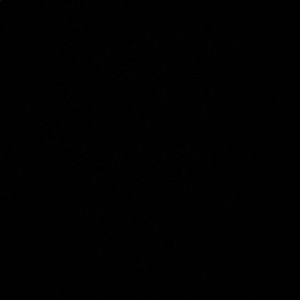 Meet your Posher, Kyleigh